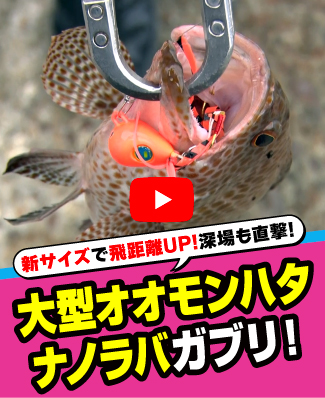 9/25公開