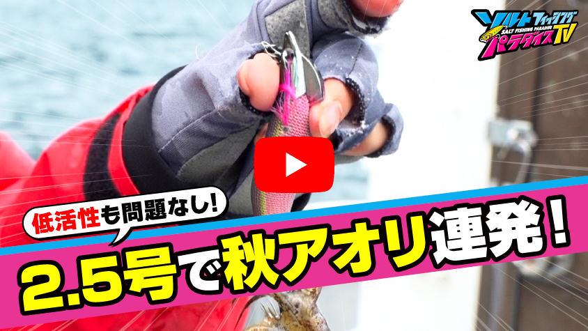 10/2公開