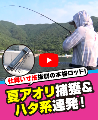 7/31公開