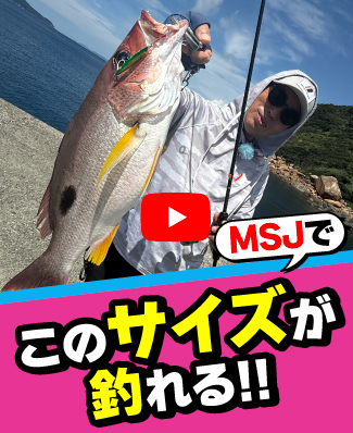 10/3公開