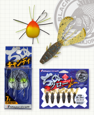 4/17視聴者プレゼント