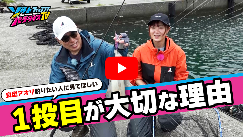 6/5公開