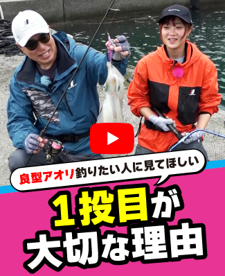 6/5公開