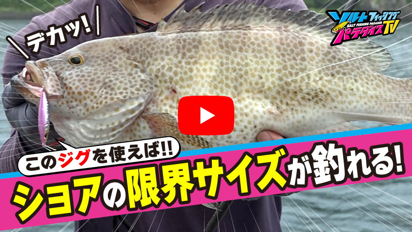 6/12公開