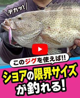 6/12公開